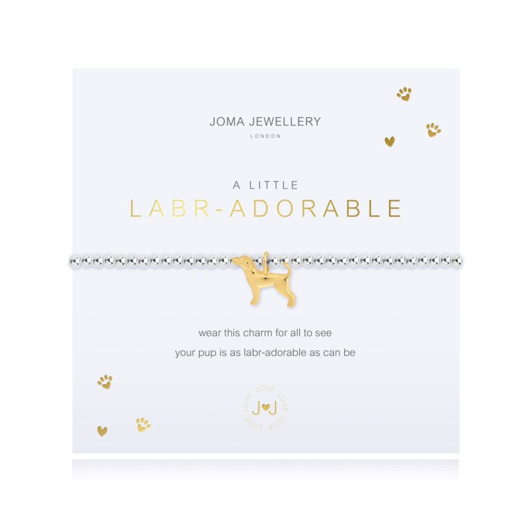 Joma Jewellery |  Labradorable Bracelet