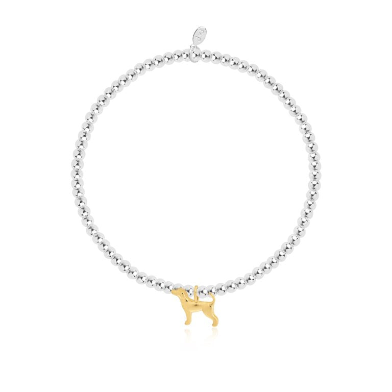 Joma Jewellery |  Labradorable Bracelet