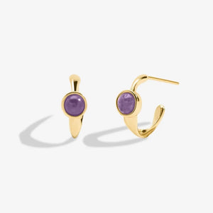 Joma Jewellery | February Birthstone Hoop Earrings