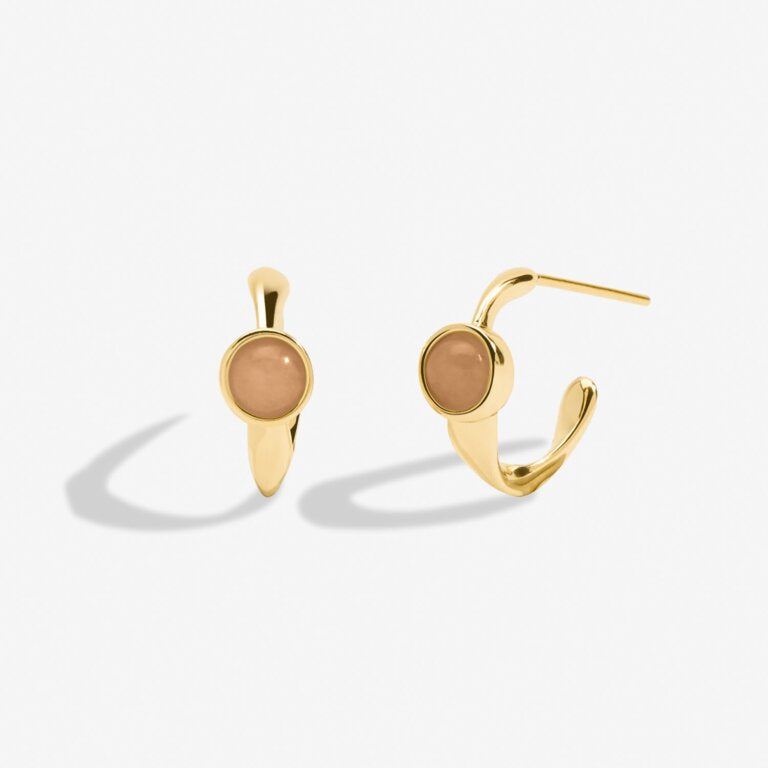 Joma Jewellery | November Birthstone Hoop Earrings