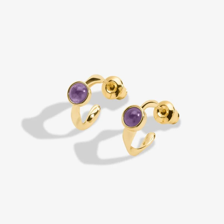 Joma Jewellery | February Birthstone Hoop Earrings