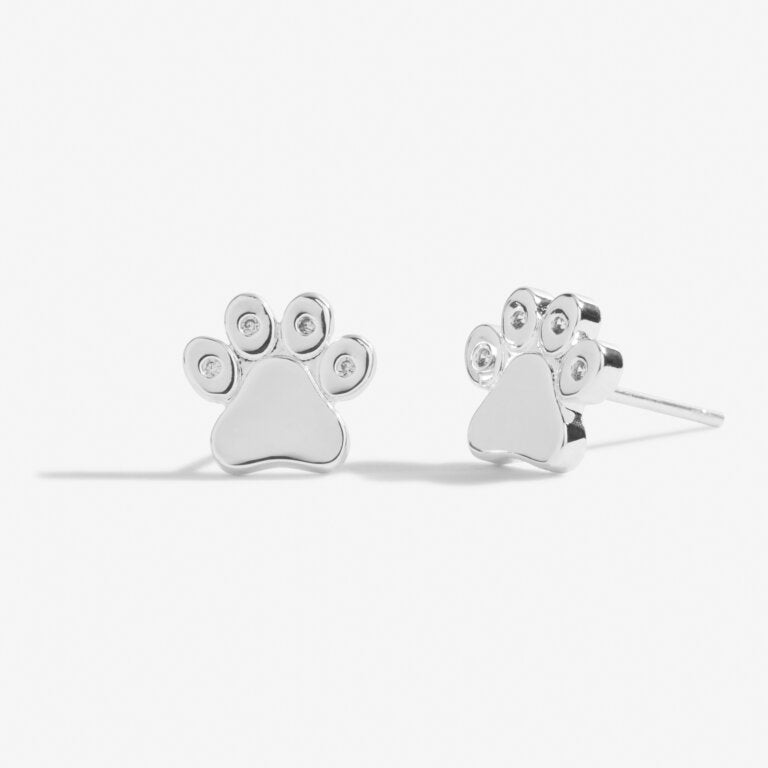 Joma Jewellery | Beautifully Boxed Love Has Four Paws Earrings