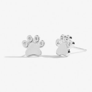 Joma Jewellery | Beautifully Boxed Love Has Four Paws Earrings