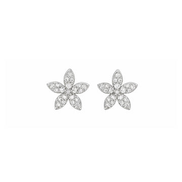 18ct White Gold Diamond Flower Stud Earrings