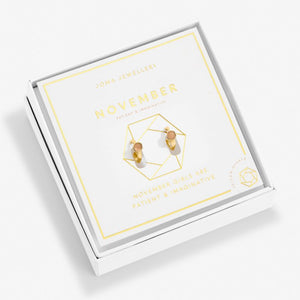 Joma Jewellery | November Birthstone Hoop Earrings