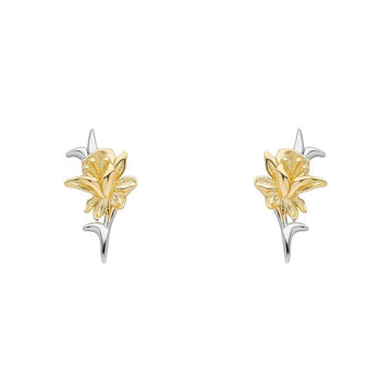 Laura Ashley | Heritage Daffodil Stud Earrings