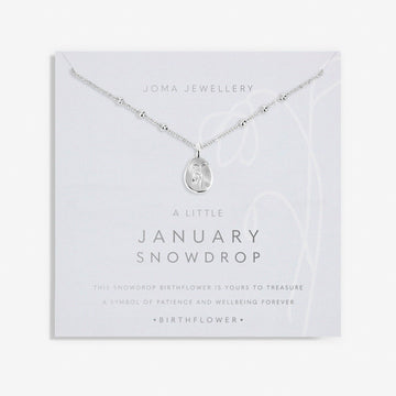 Joma Jewellery | January Birthflower Necklace