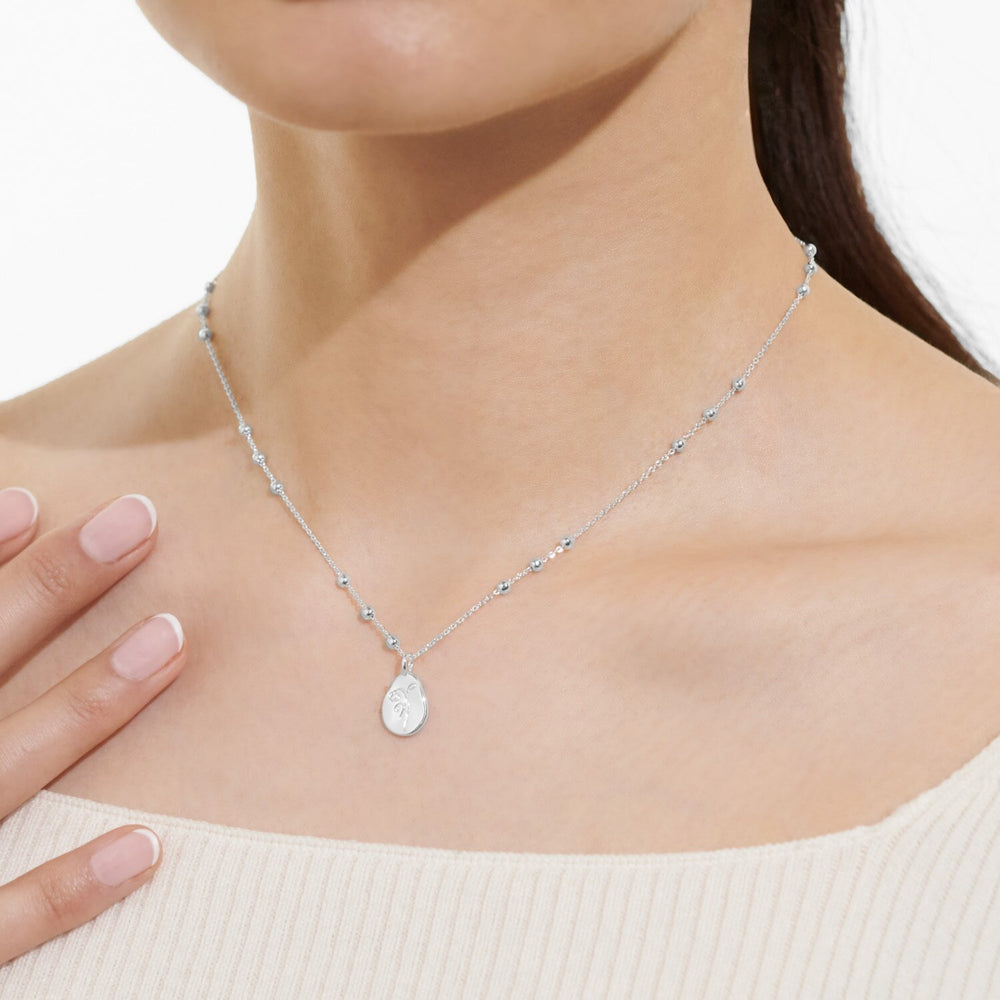 Joma Jewellery | February Birthflower Necklace