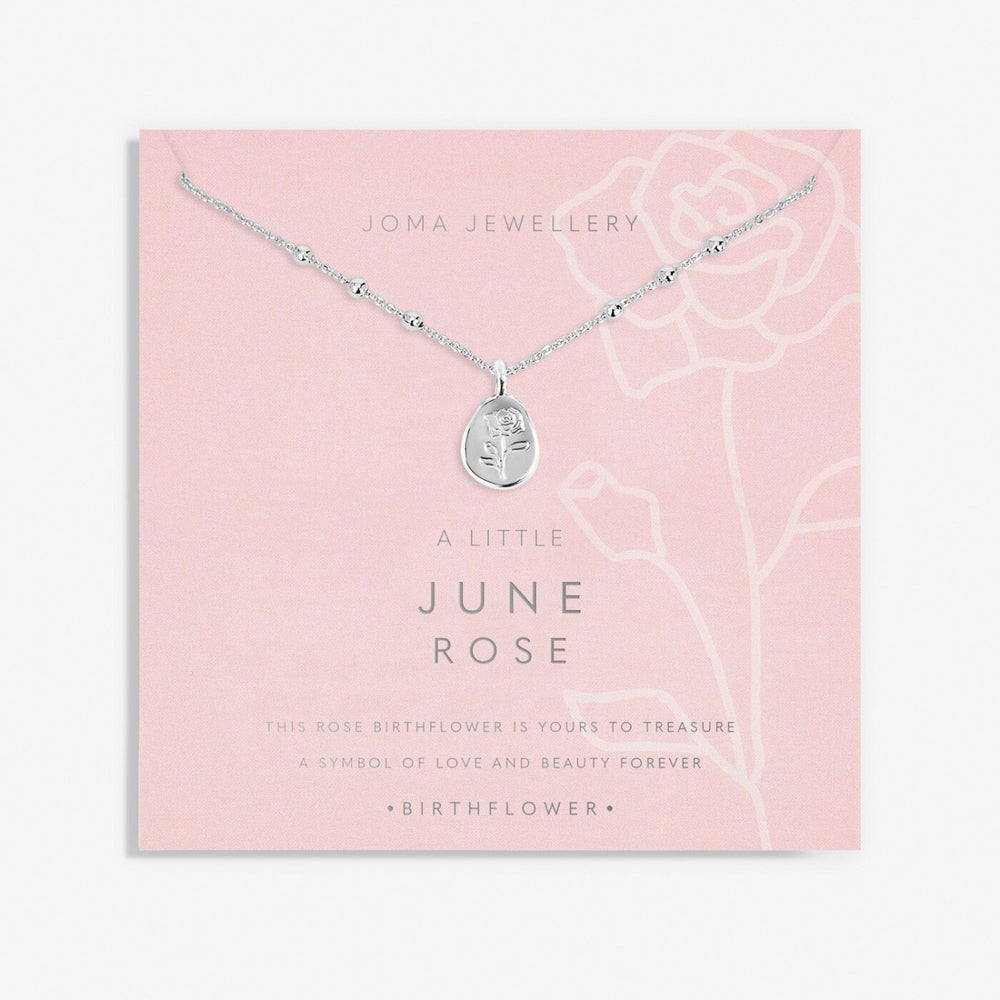 Joma Jewellery | June Birthflower Necklace