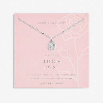 Joma Jewellery | June Birthflower Necklace