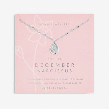 Joma Jewellery | December Birthflower Necklace