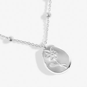 Joma Jewellery | December Birthflower Necklace
