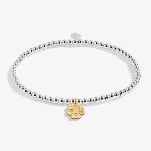 Joma Jewellery | Lucky Charm Bracelet