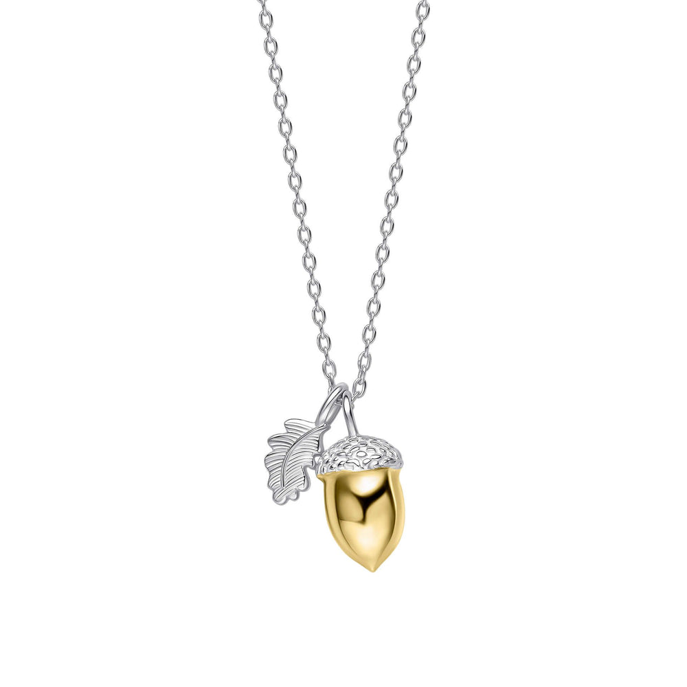 Laura Ashley | Broadoak Acorn Necklace