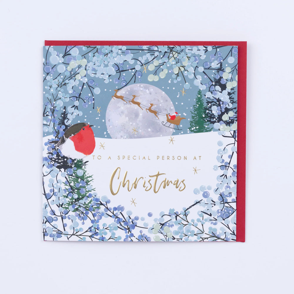 Belly Button Designs | To A Special Person At Christmas