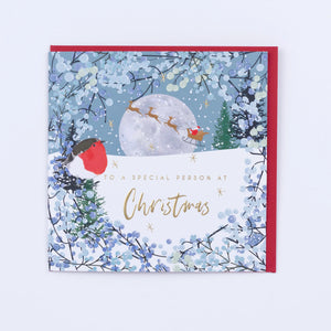 Belly Button Designs | To A Special Person At Christmas