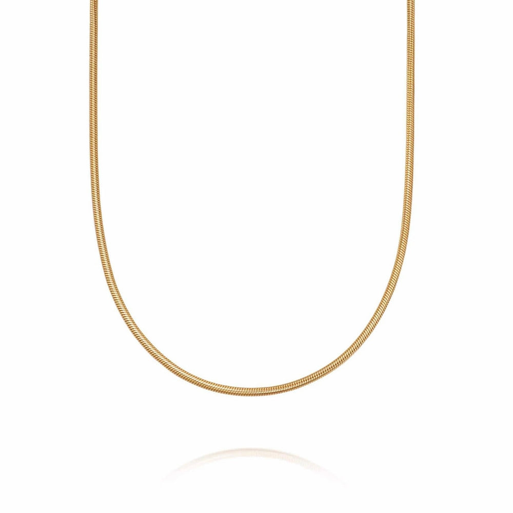 Daisy London Round Snake Chain Necklace | Gold