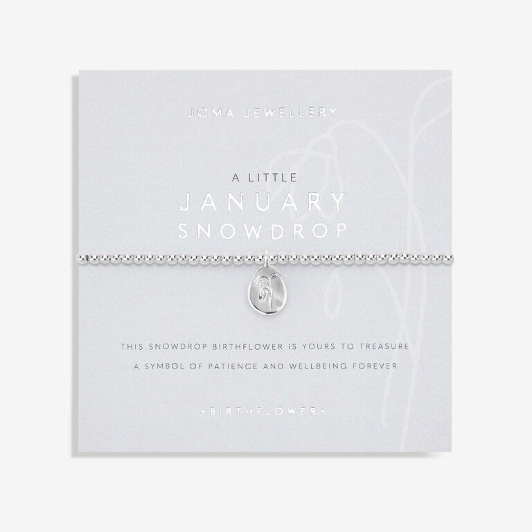 
            
                Load image into Gallery viewer, Joma Jewellery | Birthflower January Bracelet
            
        