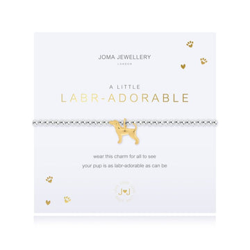 Joma Jewellery |  Labradorable Bracelet