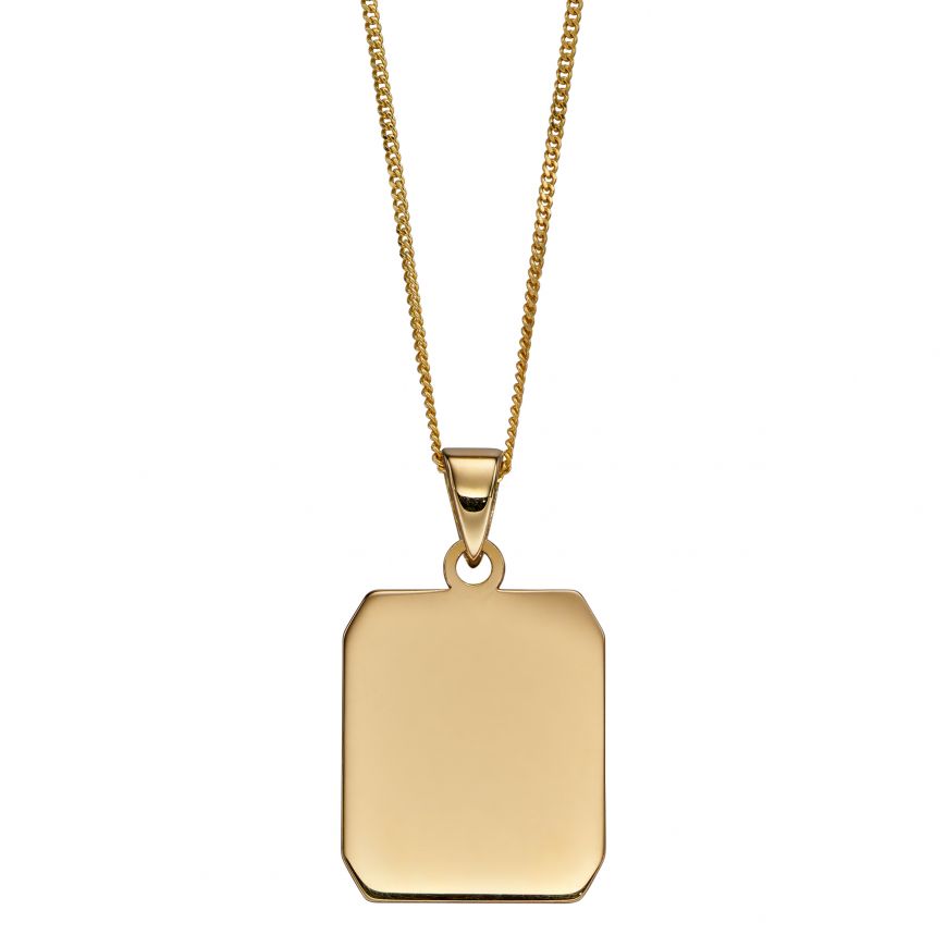 
            
                Load image into Gallery viewer, 9ct Yellow Gold Rectangular Dog Tag Engravable Pendant
            
        