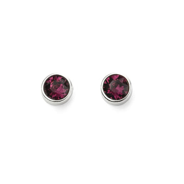February Birthstone Earrings
