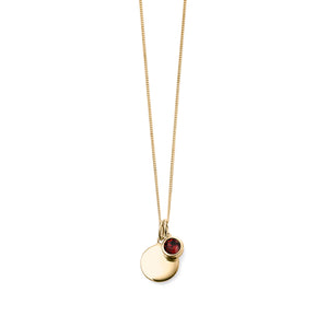 
            
                Load image into Gallery viewer, January Birthstone Pendant with Engravable Disk
            
        