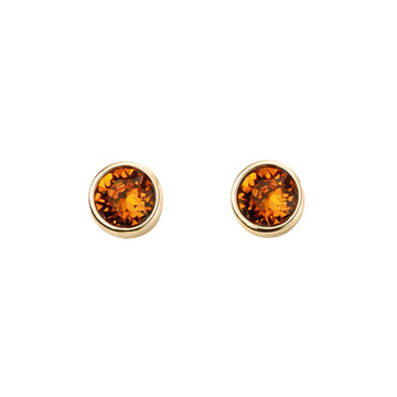November Birthstone Stud Earrings