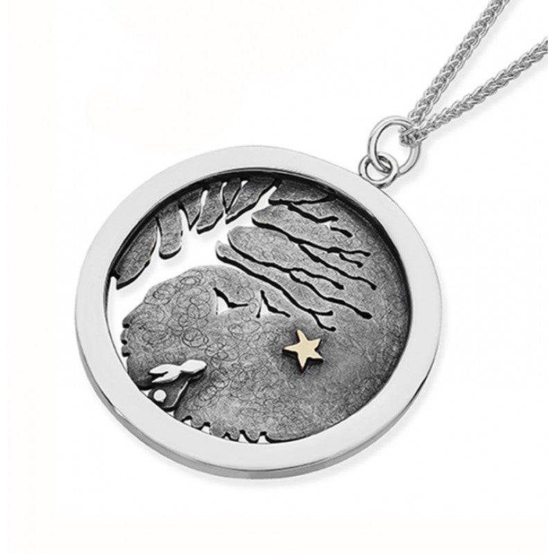 
            
                Load image into Gallery viewer, Linda Macdonald | Silver with Gold Star Necklace
            
        